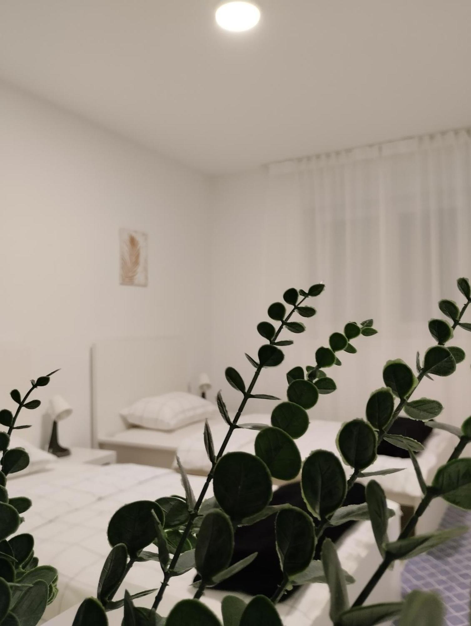 Marija Apartman Όσιγιεκ Εξωτερικό φωτογραφία